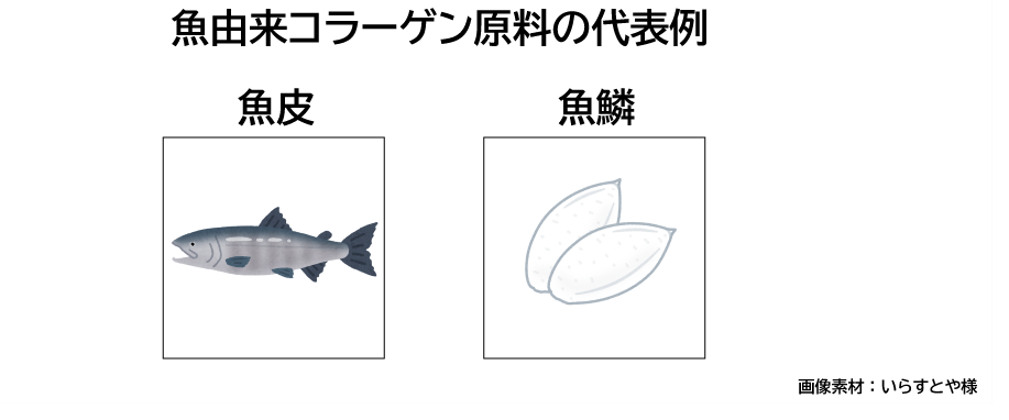 中国で船釣り 笑 ふと 魚 の事を考え そのサプライチェーンを追っかけたらコラーゲンや国際問題にまで辿り着いた すぐ活用 貿易 化学 資材調達 情報配信サイト